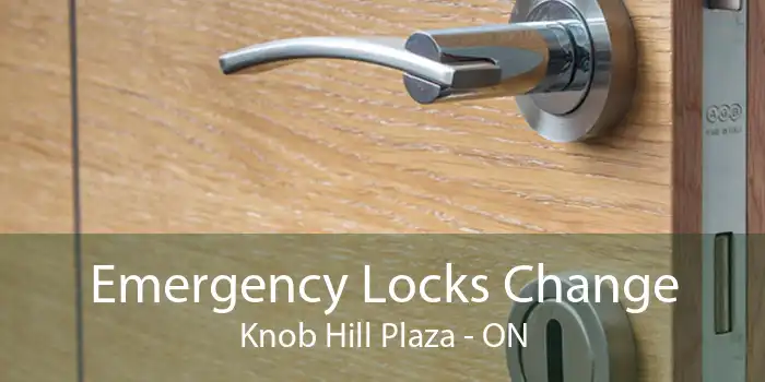 Emergency Locks Change Knob Hill Plaza - ON