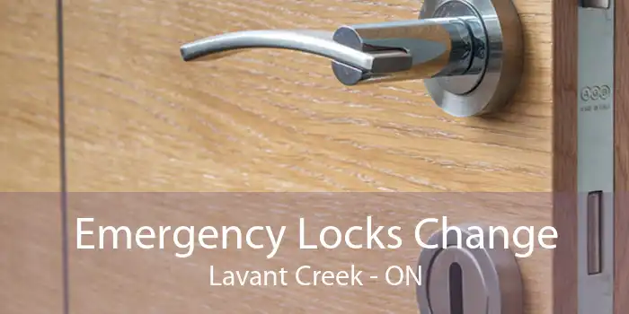 Emergency Locks Change Lavant Creek - ON