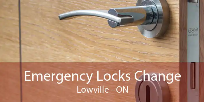 Emergency Locks Change Lowville - ON