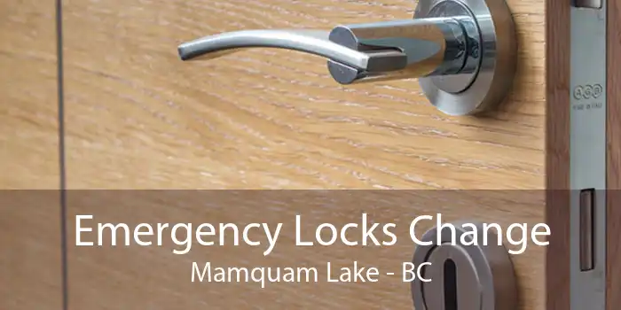 Emergency Locks Change Mamquam Lake - BC