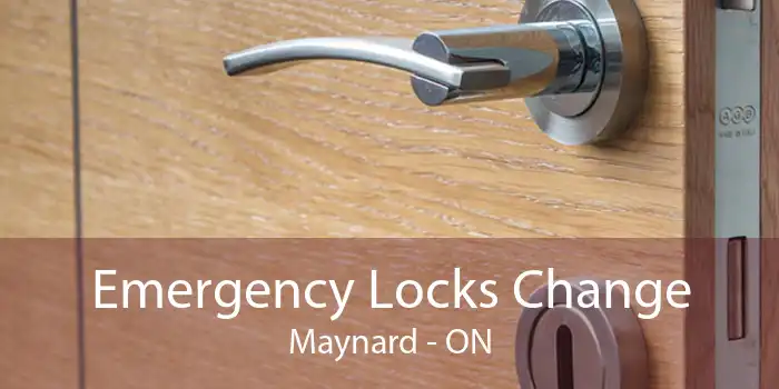 Emergency Locks Change Maynard - ON