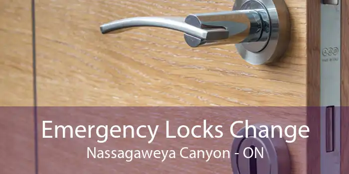 Emergency Locks Change Nassagaweya Canyon - ON