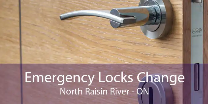 Emergency Locks Change North Raisin River - ON