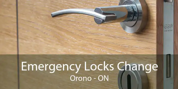 Emergency Locks Change Orono - ON