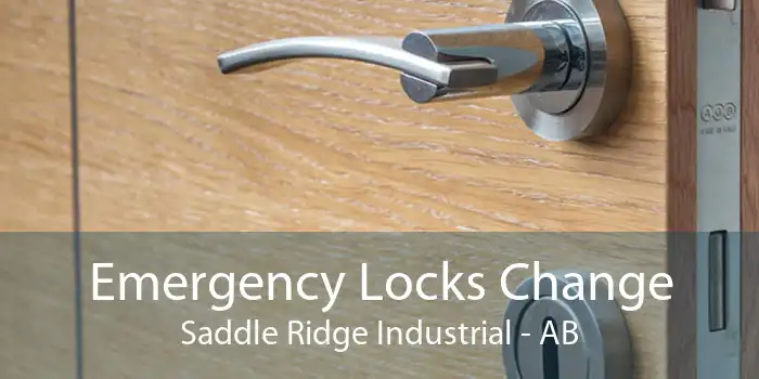 Emergency Locks Change Saddle Ridge Industrial - AB