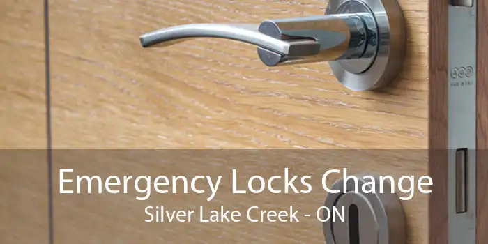 Emergency Locks Change Silver Lake Creek - ON