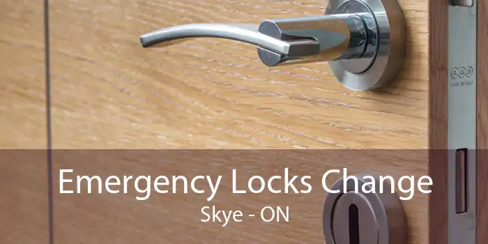 Emergency Locks Change Skye - ON