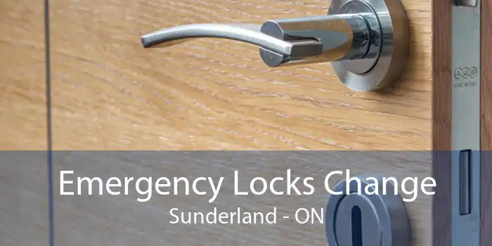 Emergency Locks Change Sunderland - ON