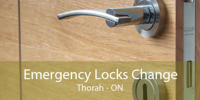 Emergency Locks Change Thorah - ON