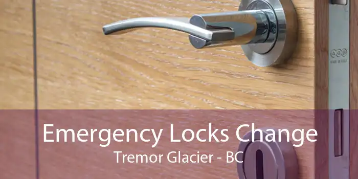 Emergency Locks Change Tremor Glacier - BC