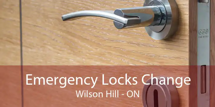 Emergency Locks Change Wilson Hill - ON
