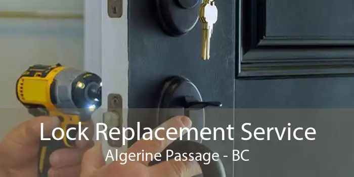 Lock Replacement Service Algerine Passage - BC