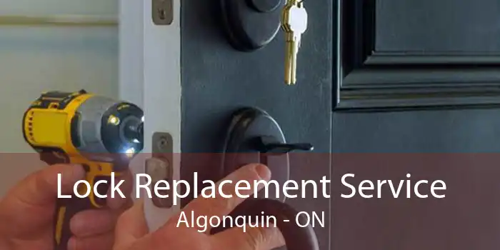 Lock Replacement Service Algonquin - ON