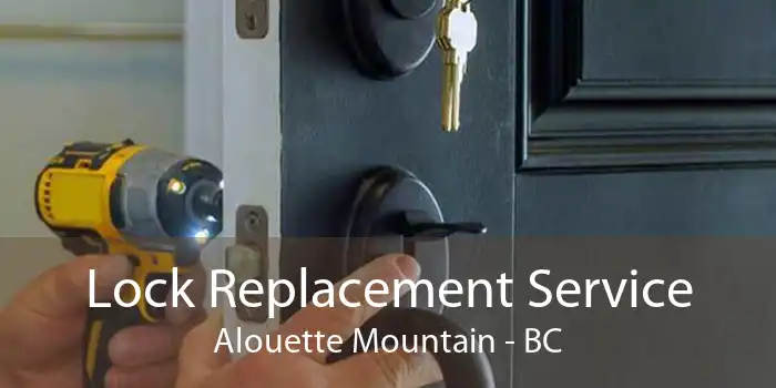 Lock Replacement Service Alouette Mountain - BC
