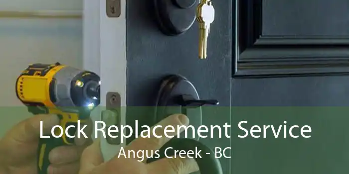 Lock Replacement Service Angus Creek - BC