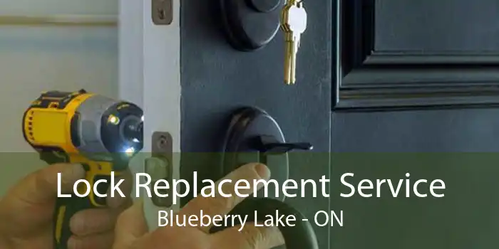Lock Replacement Service Blueberry Lake - ON