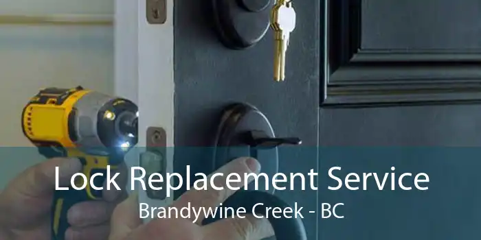 Lock Replacement Service Brandywine Creek - BC