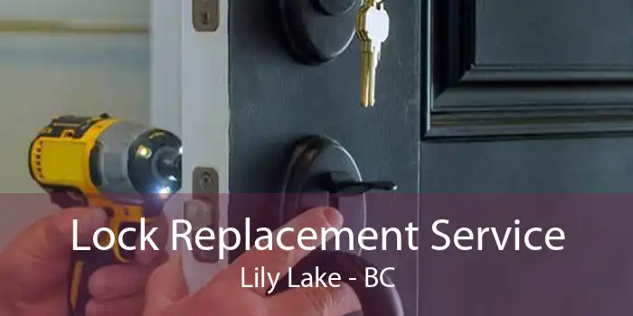 Lock Replacement Service Lily Lake - BC
