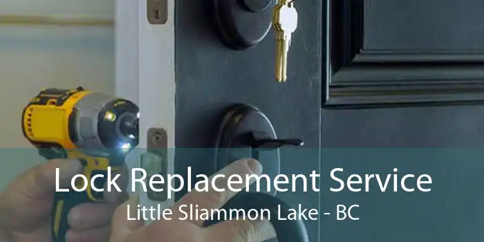 Lock Replacement Service Little Sliammon Lake - BC