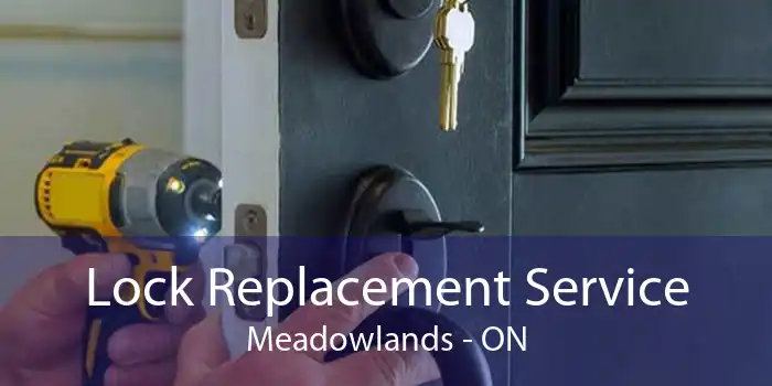 Lock Replacement Service Meadowlands - ON