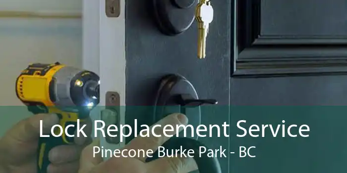 Lock Replacement Service Pinecone Burke Park - BC