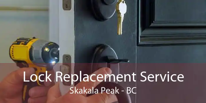 Lock Replacement Service Skakala Peak - BC