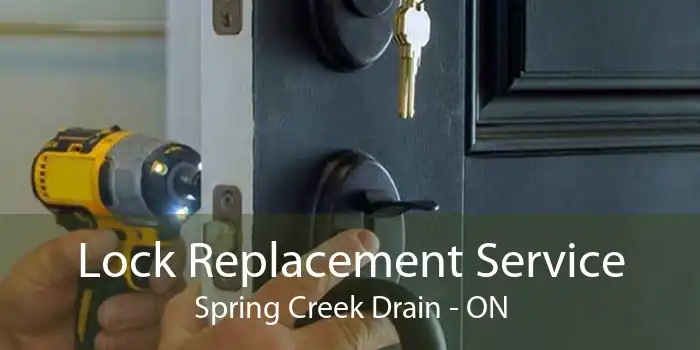 Lock Replacement Service Spring Creek Drain - ON