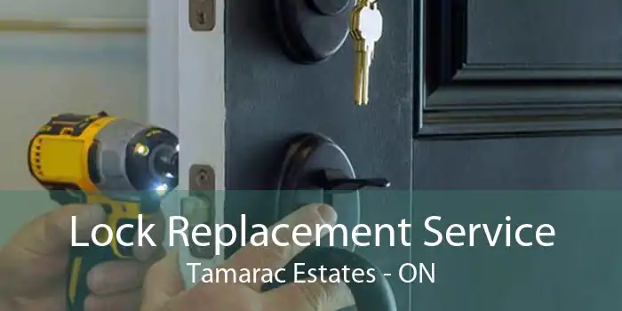 Lock Replacement Service Tamarac Estates - ON