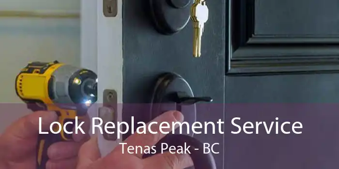 Lock Replacement Service Tenas Peak - BC