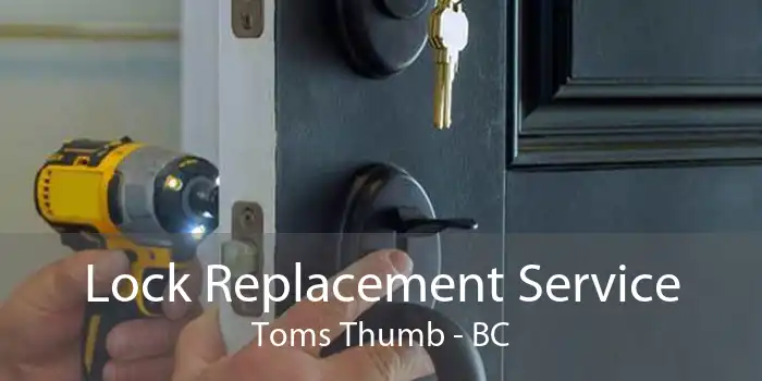 Lock Replacement Service Toms Thumb - BC