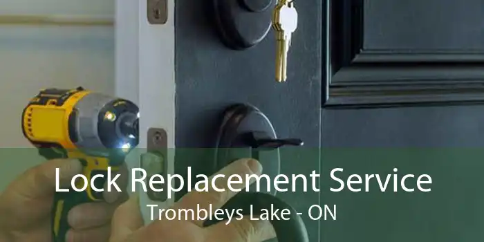 Lock Replacement Service Trombleys Lake - ON