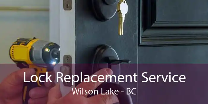 Lock Replacement Service Wilson Lake - BC