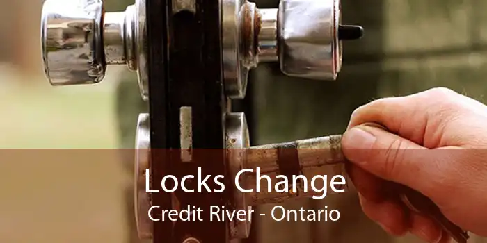Locks Change Credit River - Ontario