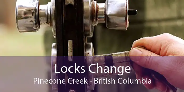 Locks Change Pinecone Creek - British Columbia