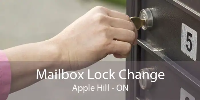 Mailbox Lock Change Apple Hill - ON