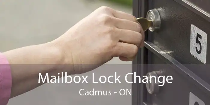 Mailbox Lock Change Cadmus - ON