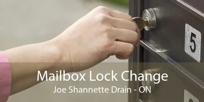 Mailbox Lock Change Joe Shannette Drain - ON