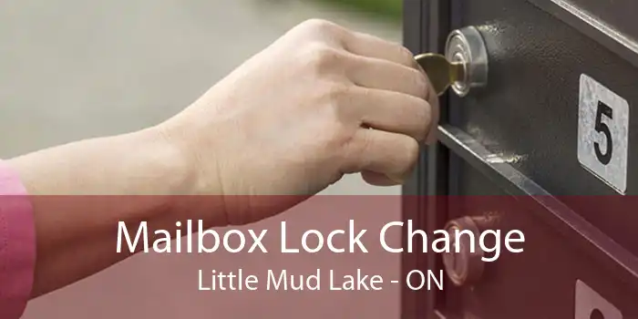 Mailbox Lock Change Little Mud Lake - ON