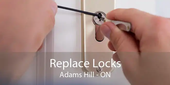 Replace Locks Adams Hill - ON
