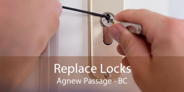 Replace Locks Agnew Passage - BC