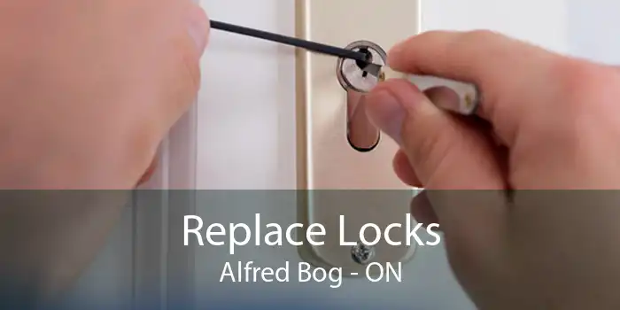 Replace Locks Alfred Bog - ON