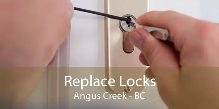 Replace Locks Angus Creek - BC