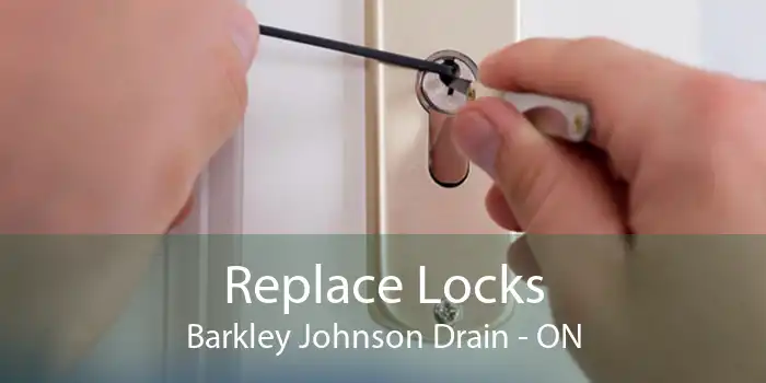 Replace Locks Barkley Johnson Drain - ON