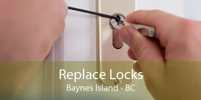 Replace Locks Baynes Island - BC