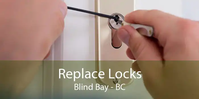 Replace Locks Blind Bay - BC