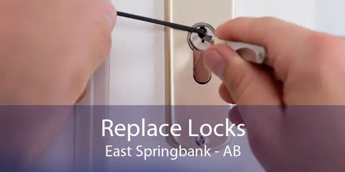 Replace Locks East Springbank - AB