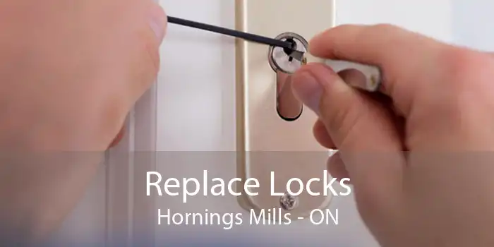 Replace Locks Hornings Mills - ON