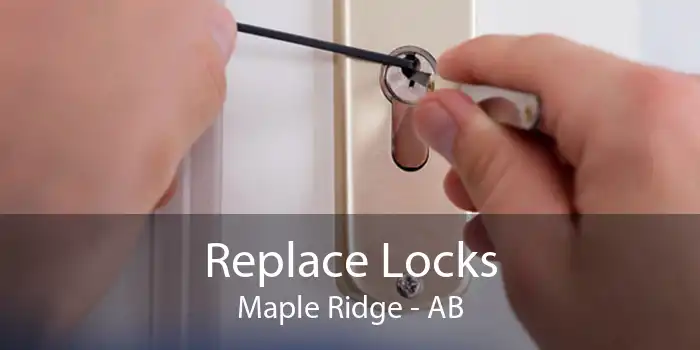 Replace Locks Maple Ridge - AB