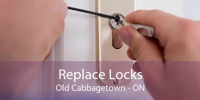 Replace Locks Old Cabbagetown - ON