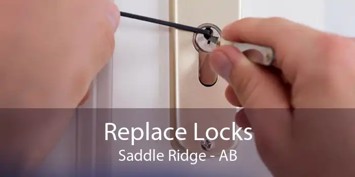 Replace Locks Saddle Ridge - AB